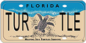 Seaturtle License Plate